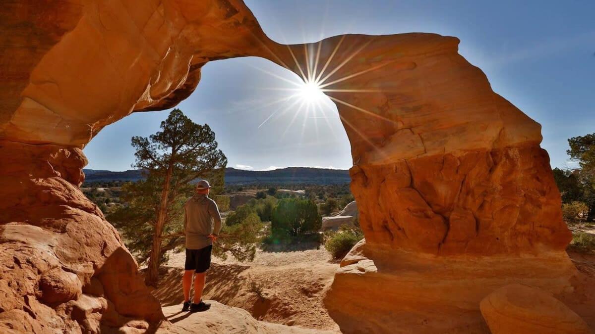Escapes Fox Tail- Loft Escape Escalante